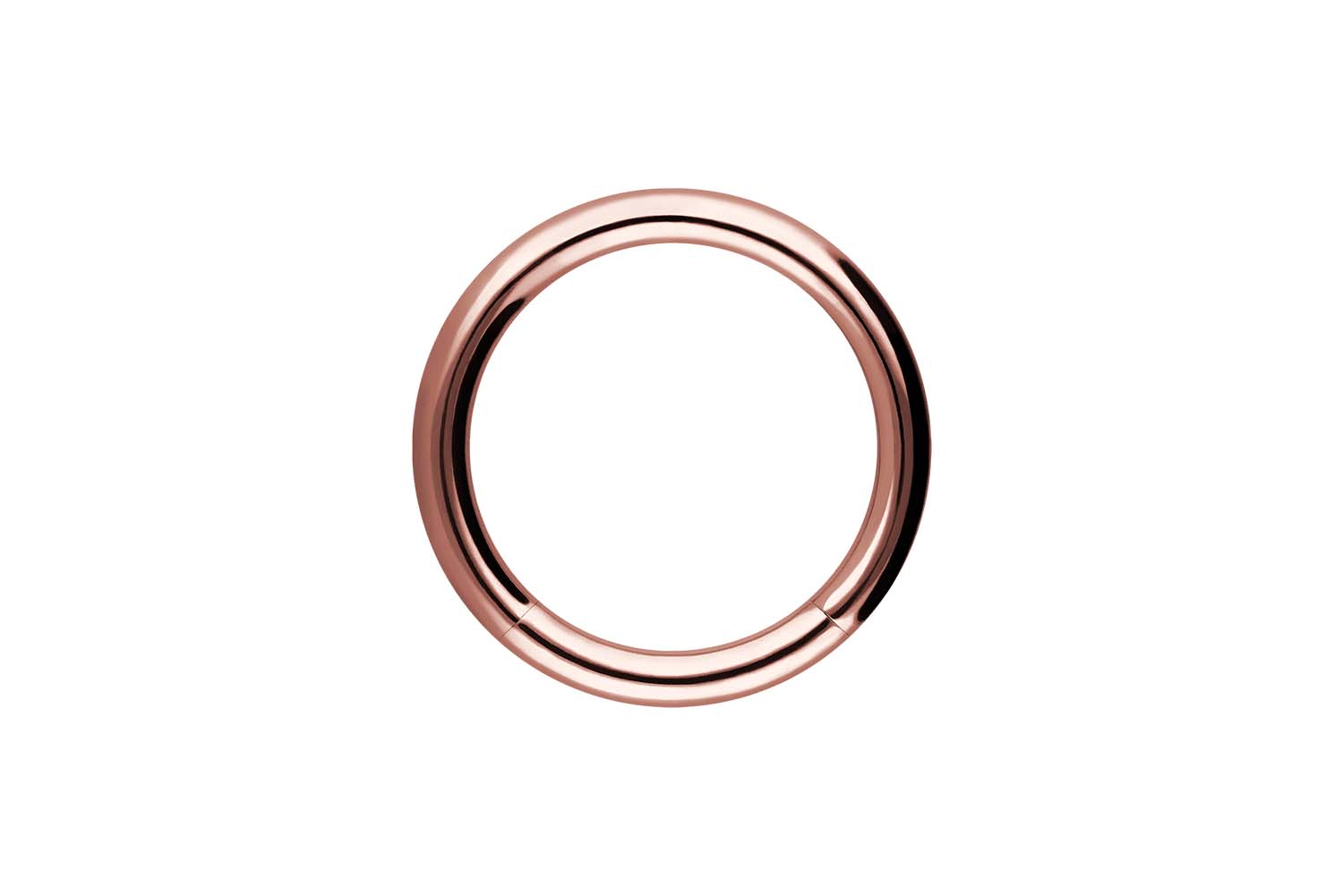 Chirurgenstahl Segmentring von Piercingline